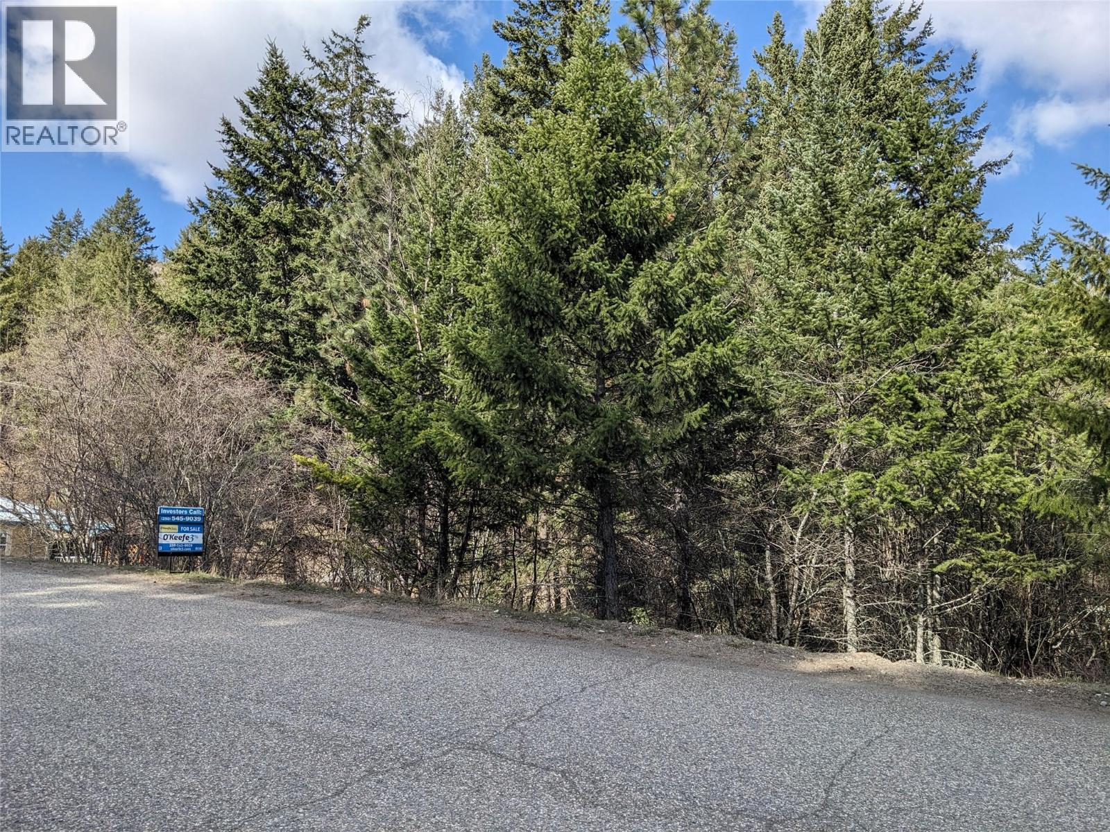 10825 Westshore Road, Vernon, British Columbia  V1H 2C3 - Photo 16 - 10380771