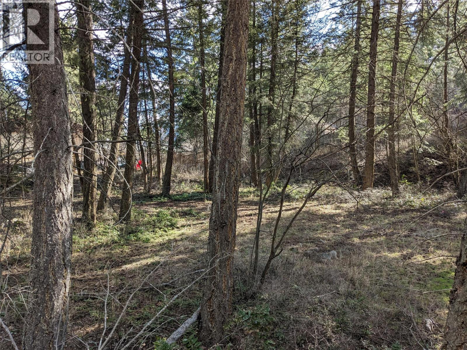 10825 Westshore Road, Vernon, British Columbia  V1H 2C3 - Photo 4 - 10380771