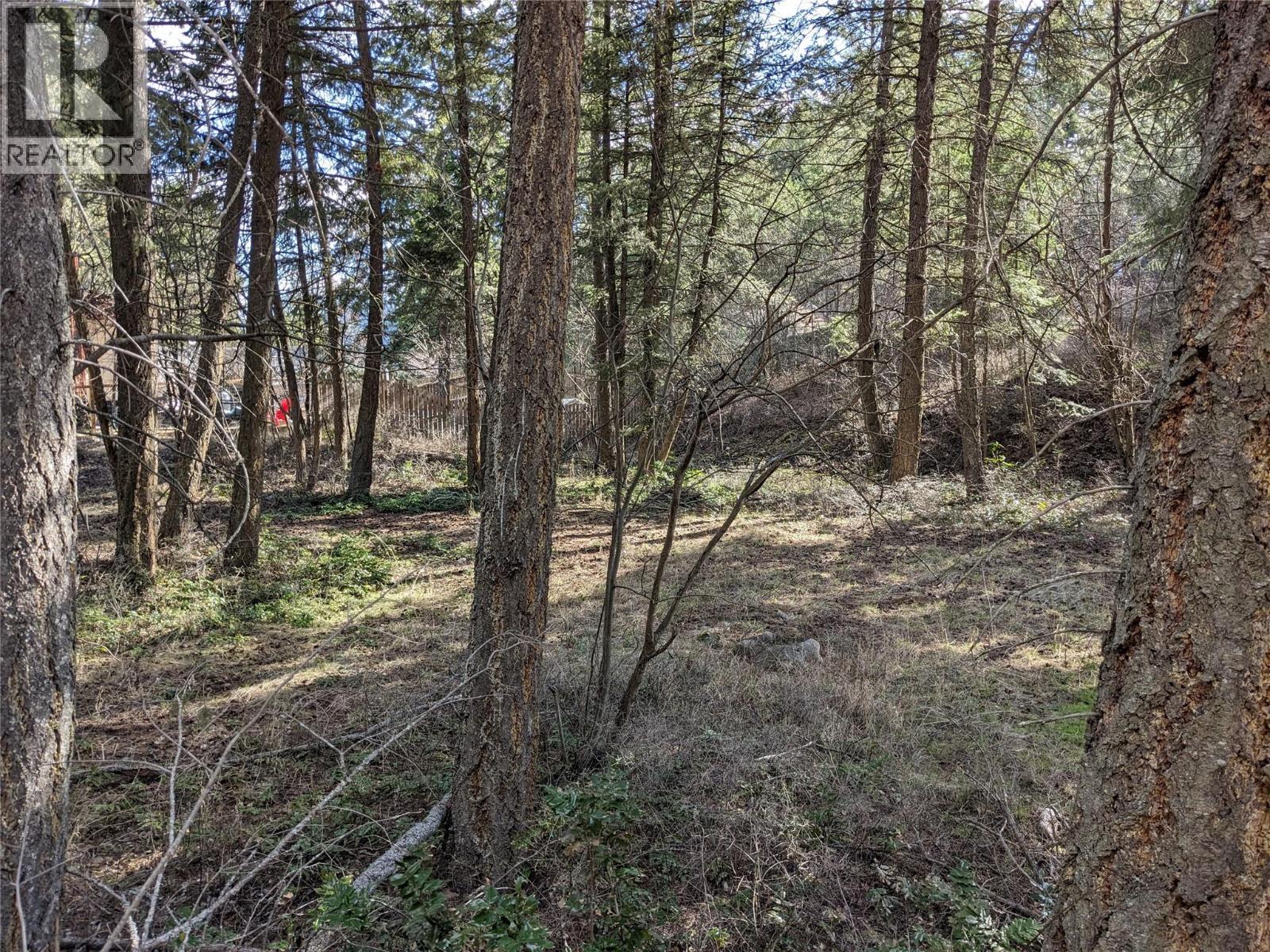 10825 Westshore Road, Vernon, British Columbia  V1H 2C3 - Photo 5 - 10380771