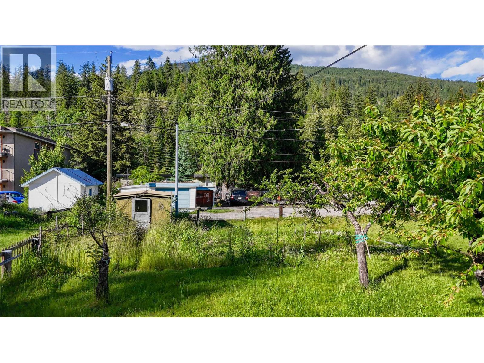 1202 First Street, Revelstoke, British Columbia  V0E 2S0 - Photo 39 - 10380545