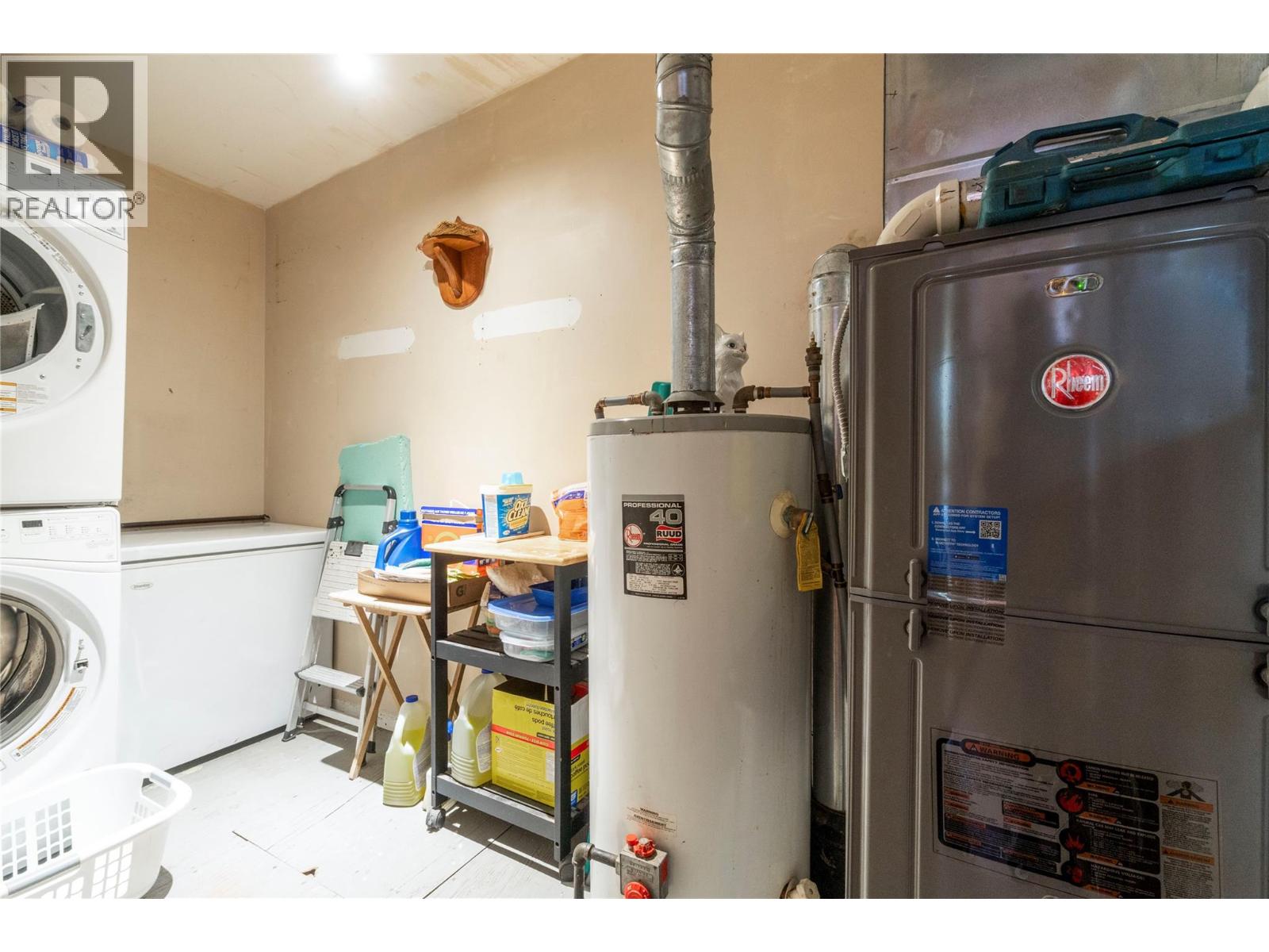 8225 Seymour Arm Forest Service Road, Seymour Arm, British Columbia  V0E 2V2 - Photo 15 - 10381306