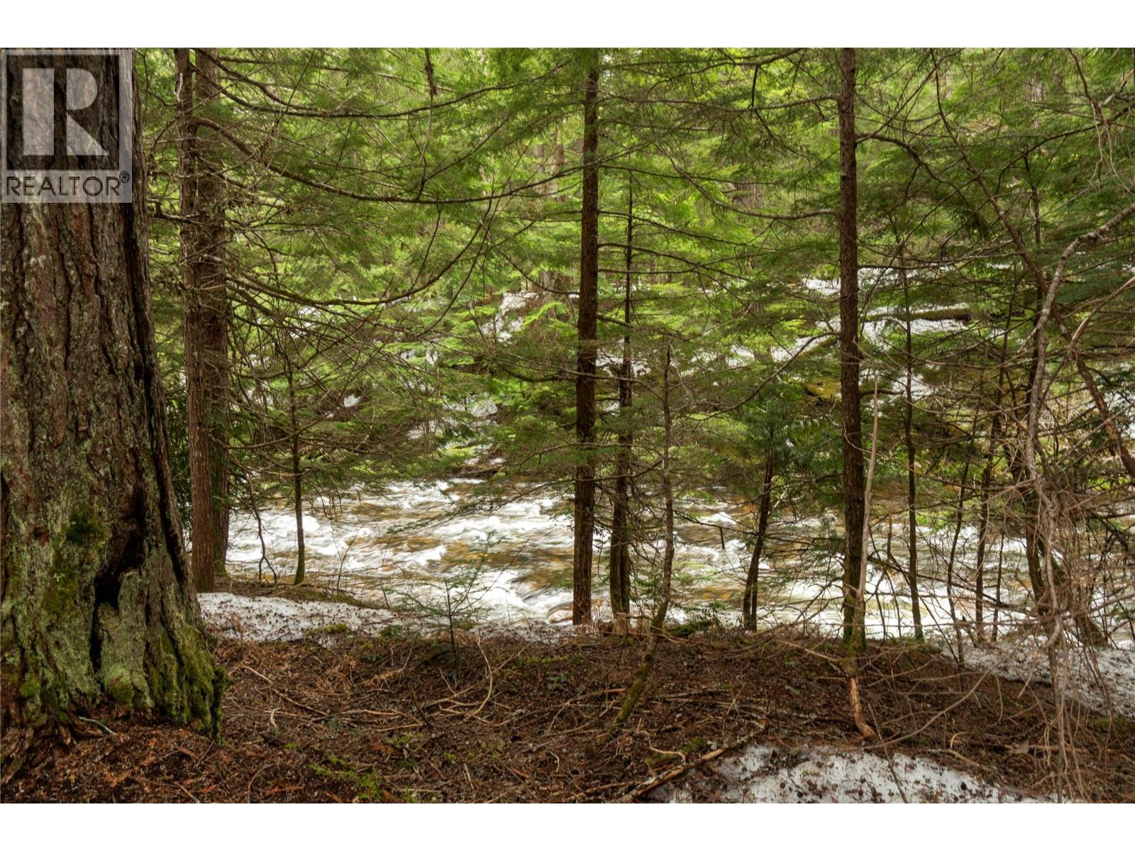 8225 Seymour Arm Forest Service Road, Seymour Arm, British Columbia  V0E 2V2 - Photo 77 - 10381306