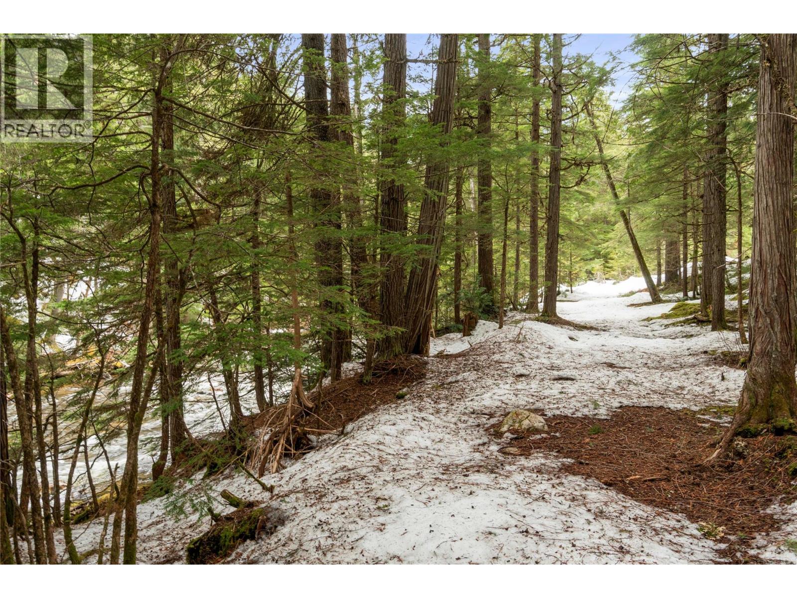 8225 Seymour Arm Forest Service Road, Seymour Arm, British Columbia  V0E 2V2 - Photo 78 - 10381306