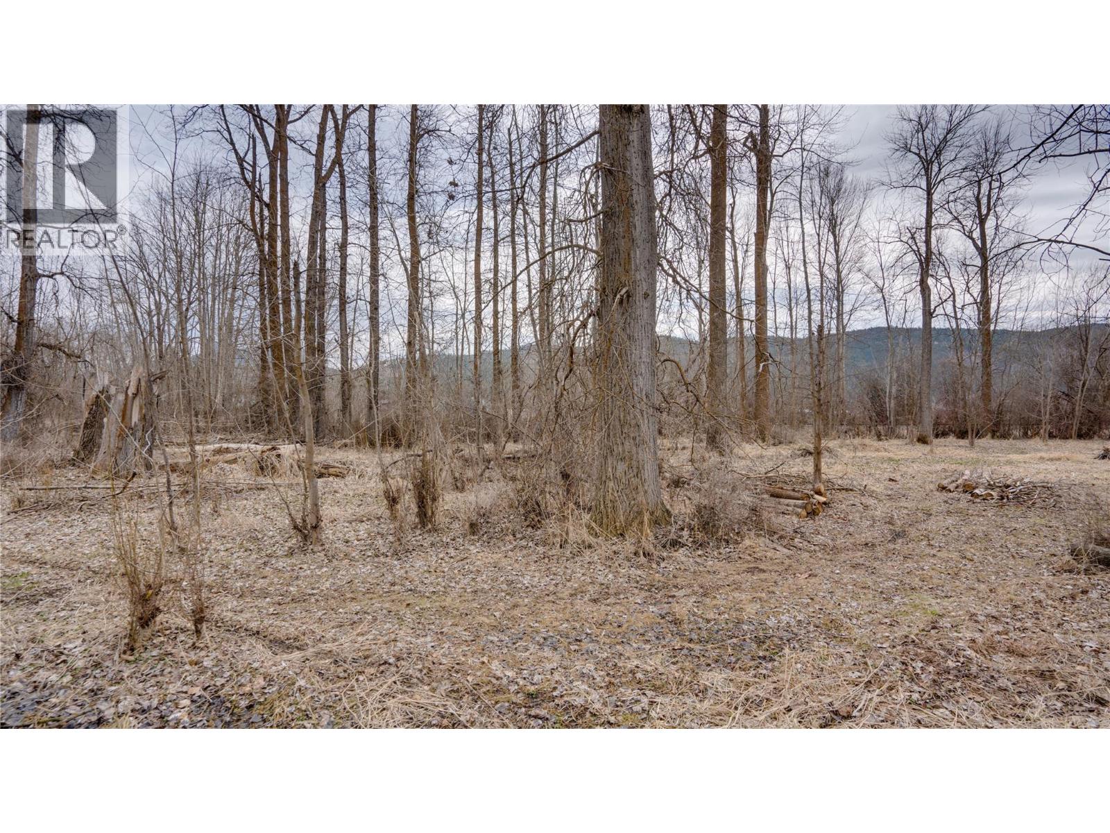 6524 Highway 6, Coldstream, British Columbia  V1B 3C6 - Photo 38 - 10380924