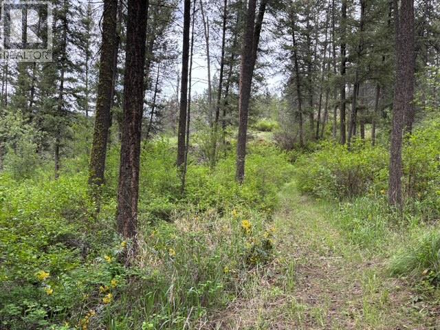 3900 3 Highway, Rock Creek, British Columbia  V0H 1Y0 - Photo 32 - 10381330