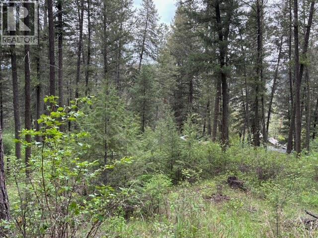 3900 3 Highway, Rock Creek, British Columbia  V0H 1Y0 - Photo 33 - 10381330