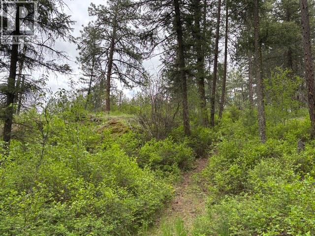 3900 3 Highway, Rock Creek, British Columbia  V0H 1Y0 - Photo 34 - 10381330