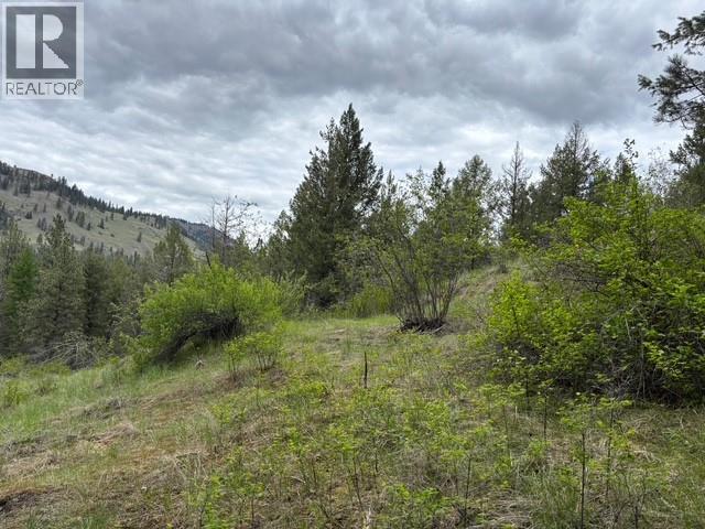 3900 3 Highway, Rock Creek, British Columbia  V0H 1Y0 - Photo 35 - 10381330