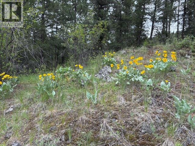 3900 3 Highway, Rock Creek, British Columbia  V0H 1Y0 - Photo 36 - 10381330