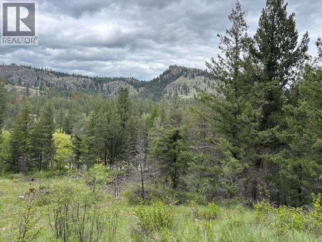 3900 3 Highway, Rock Creek, British Columbia  V0H 1Y0 - Photo 37 - 10381330