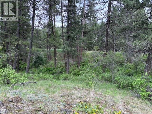 3900 3 Highway, Rock Creek, British Columbia  V0H 1Y0 - Photo 38 - 10381330