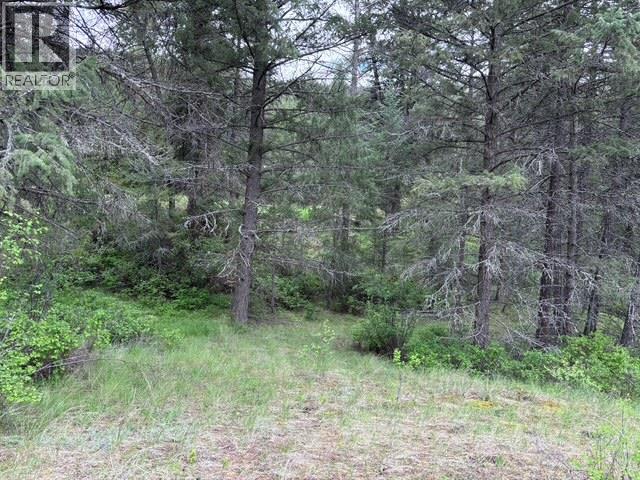 3900 3 Highway, Rock Creek, British Columbia  V0H 1Y0 - Photo 39 - 10381330