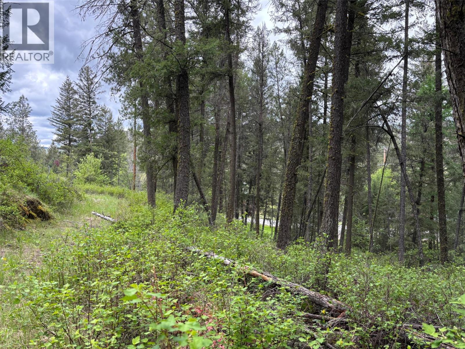 3900 3 Highway, Rock Creek, British Columbia  V0H 1Y0 - Photo 40 - 10381330