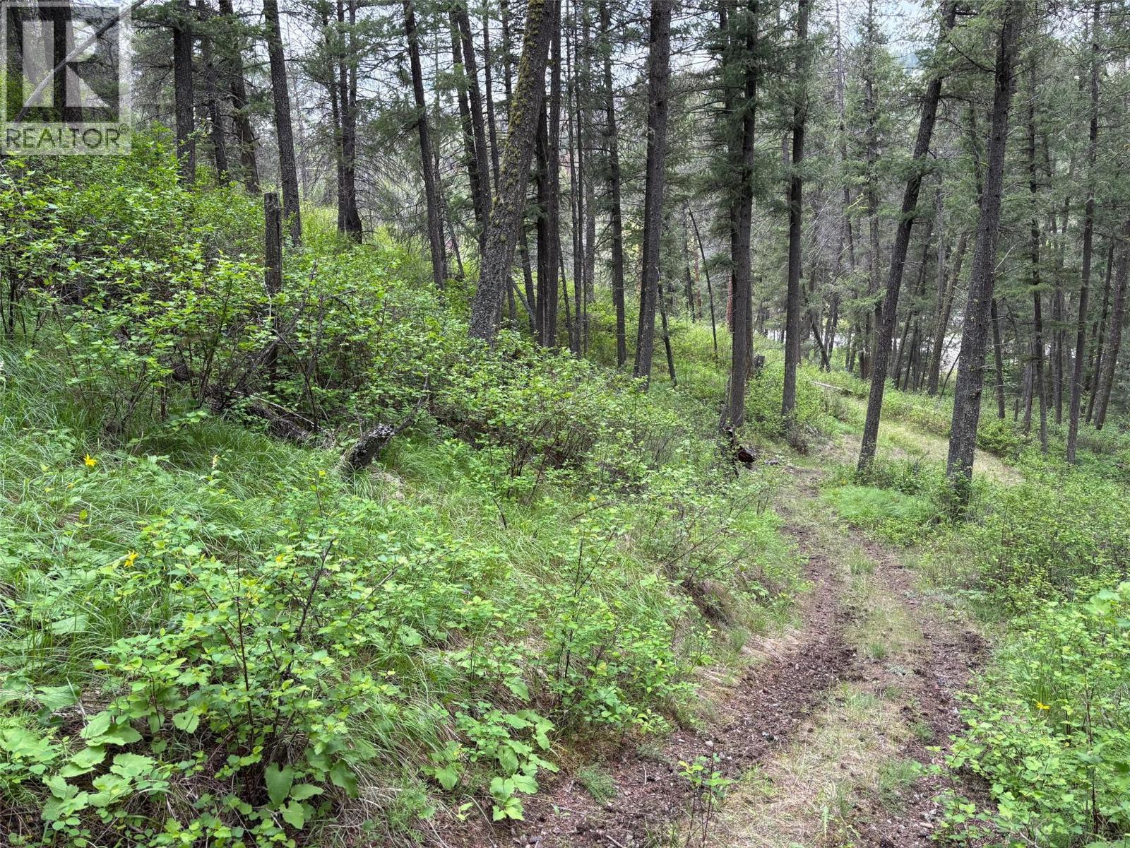 3900 3 Highway, Rock Creek, British Columbia  V0H 1Y0 - Photo 41 - 10381330