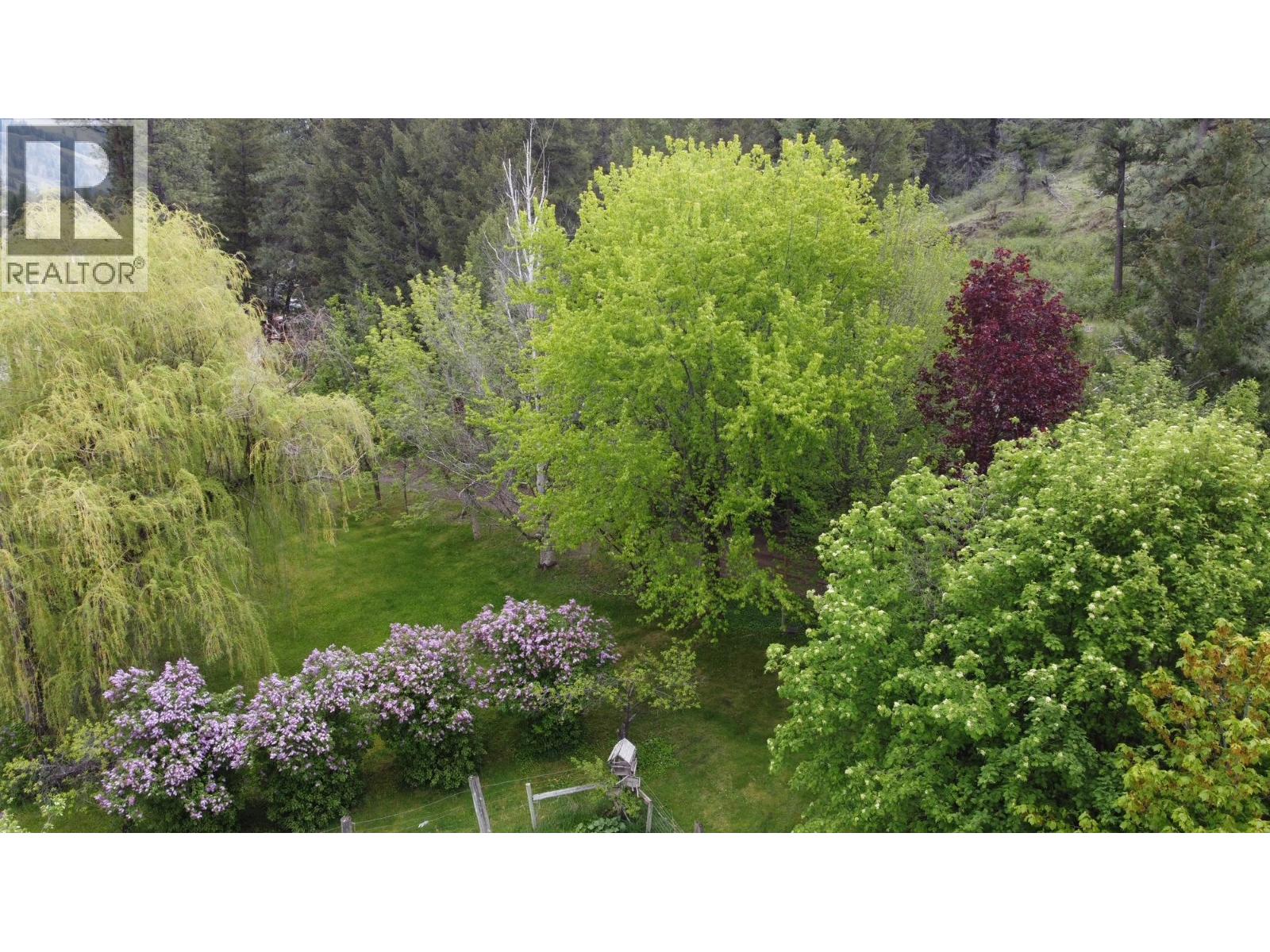 3900 3 Highway, Rock Creek, British Columbia  V0H 1Y0 - Photo 7 - 10381330