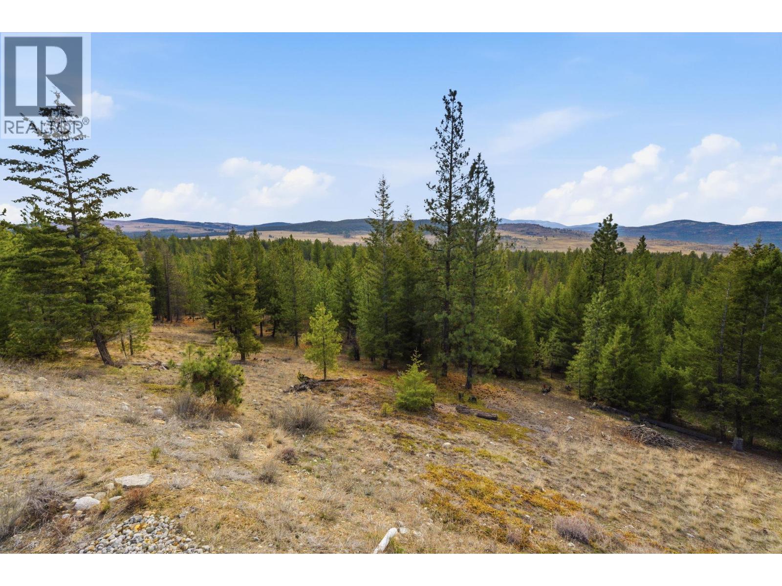 601 Raven Hill Road, Osoyoos, British Columbia  V0H 1V6 - Photo 31 - 10381325