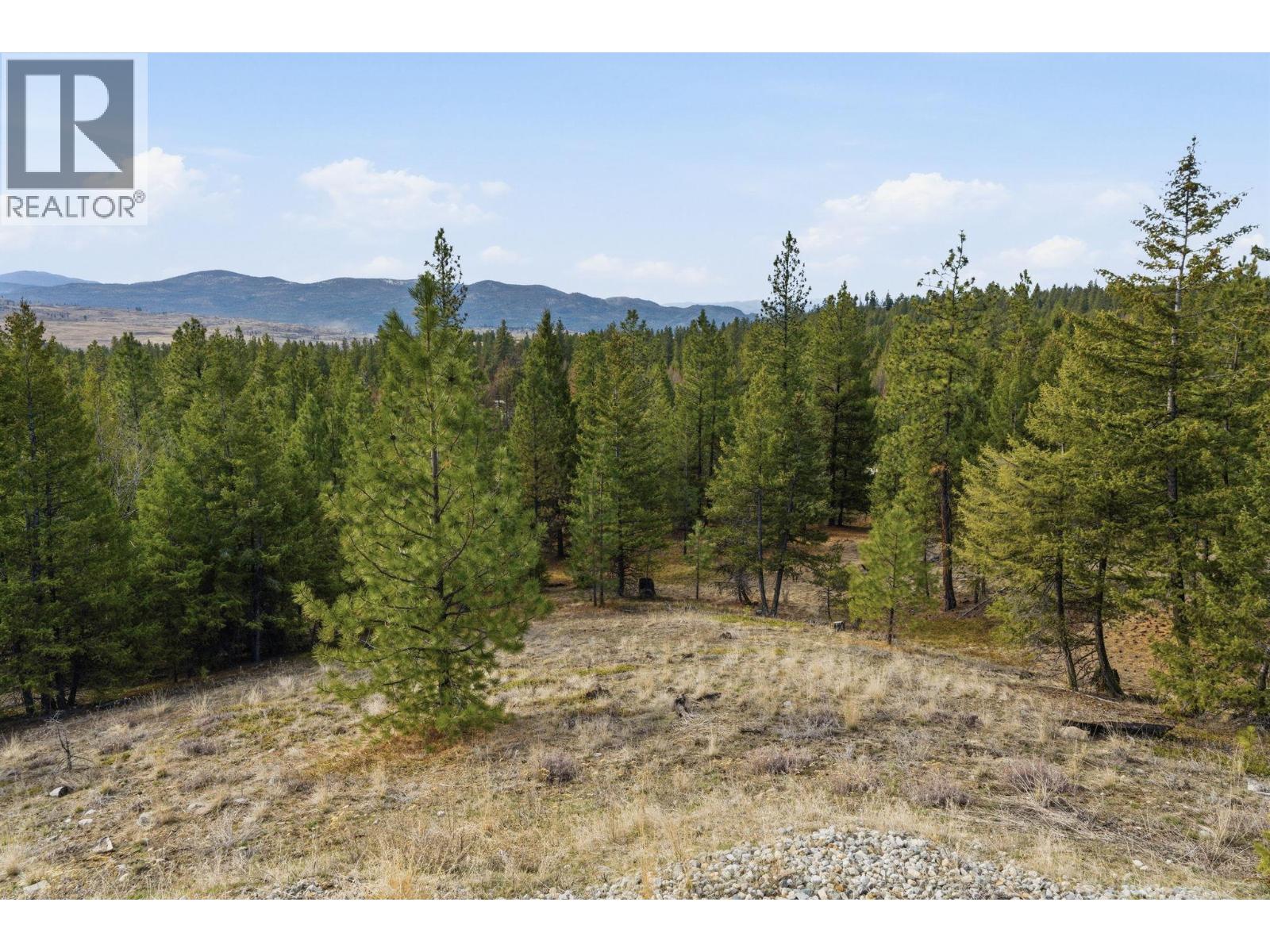 601 Raven Hill Road, Osoyoos, British Columbia  V0H 1V6 - Photo 41 - 10381325