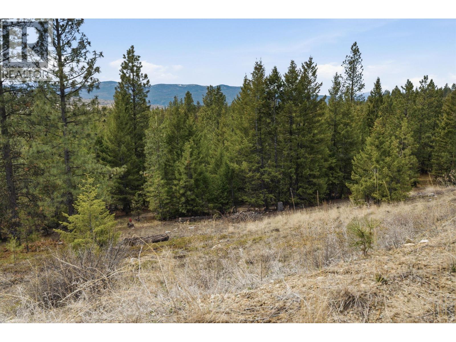 601 Raven Hill Road, Osoyoos, British Columbia  V0H 1V6 - Photo 71 - 10381325