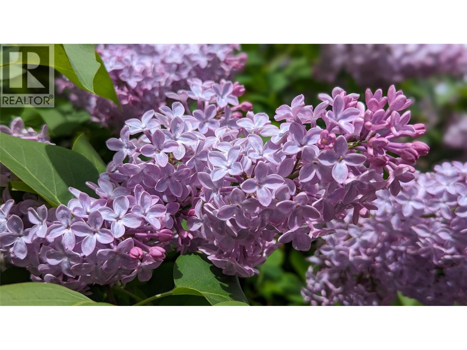 5405 Dutch Creek Road, Dutch Creek, British Columbia  V0B 1L2 - Photo 38 - 10381351