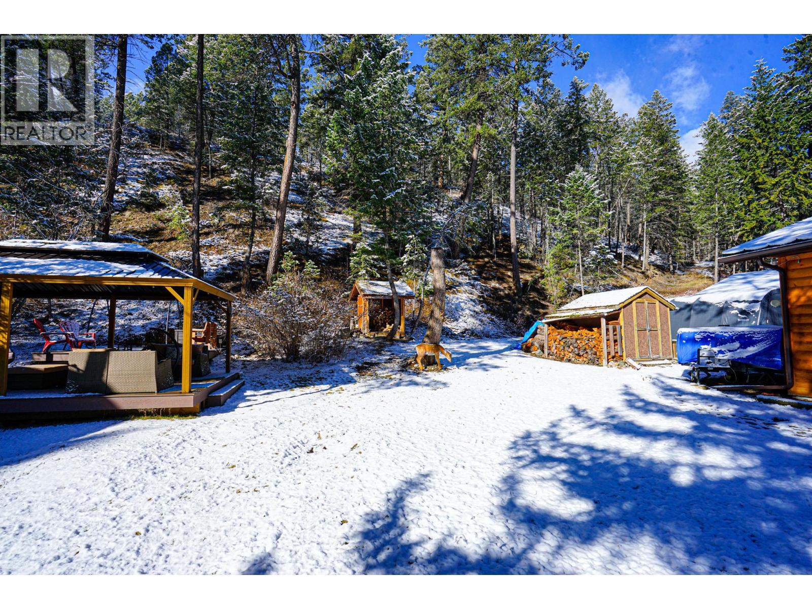 5405 Dutch Creek Road, Dutch Creek, British Columbia  V0B 1L2 - Photo 7 - 10381351