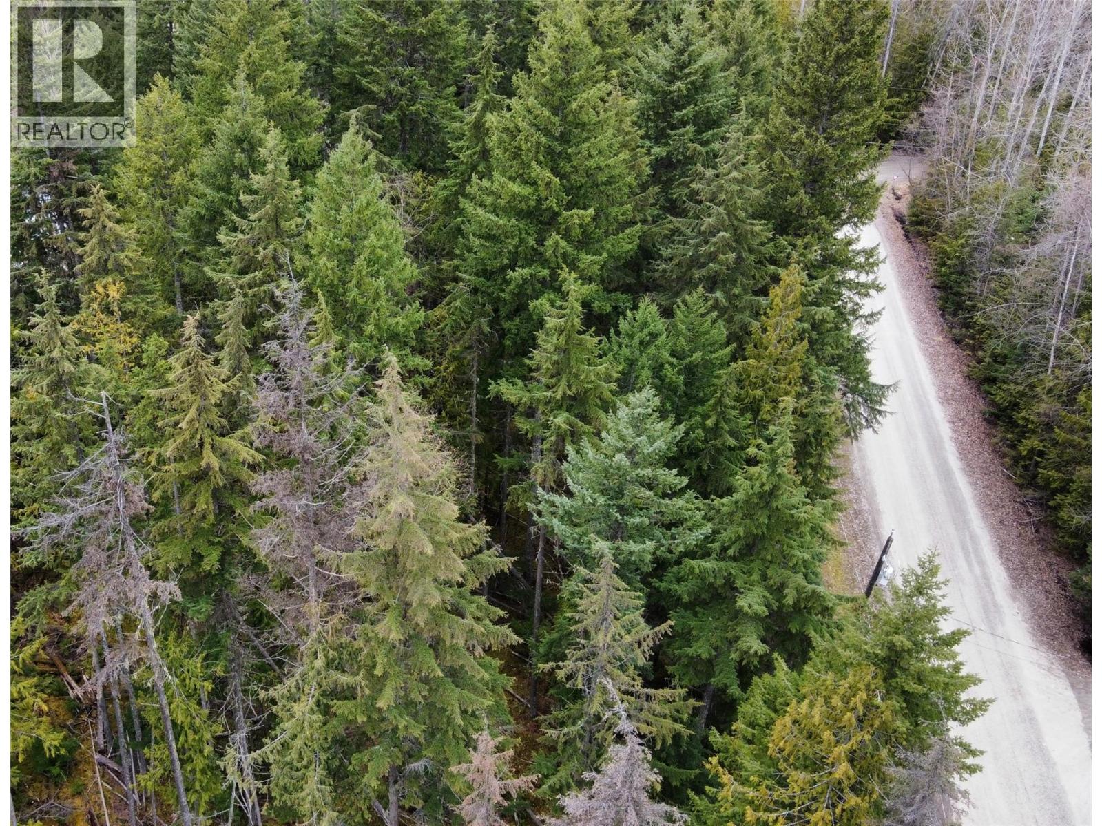 2291 15th Avenue, Nakusp, British Columbia  V0G 1R1 - Photo 21 - 10381202