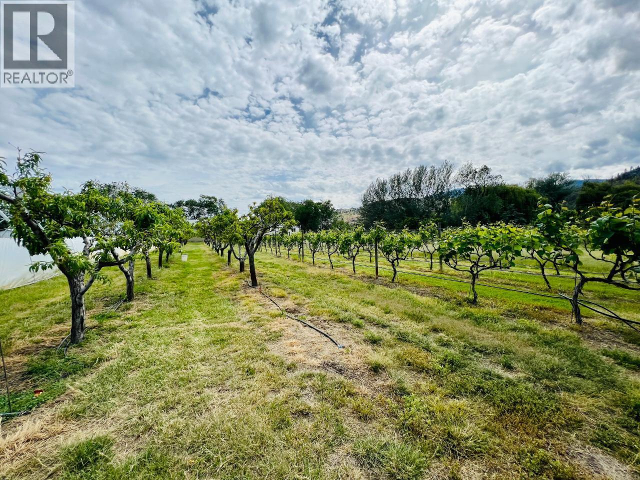 7231 Island Road, Oliver, British Columbia  V0H 1T7 - Photo 69 - 10380668