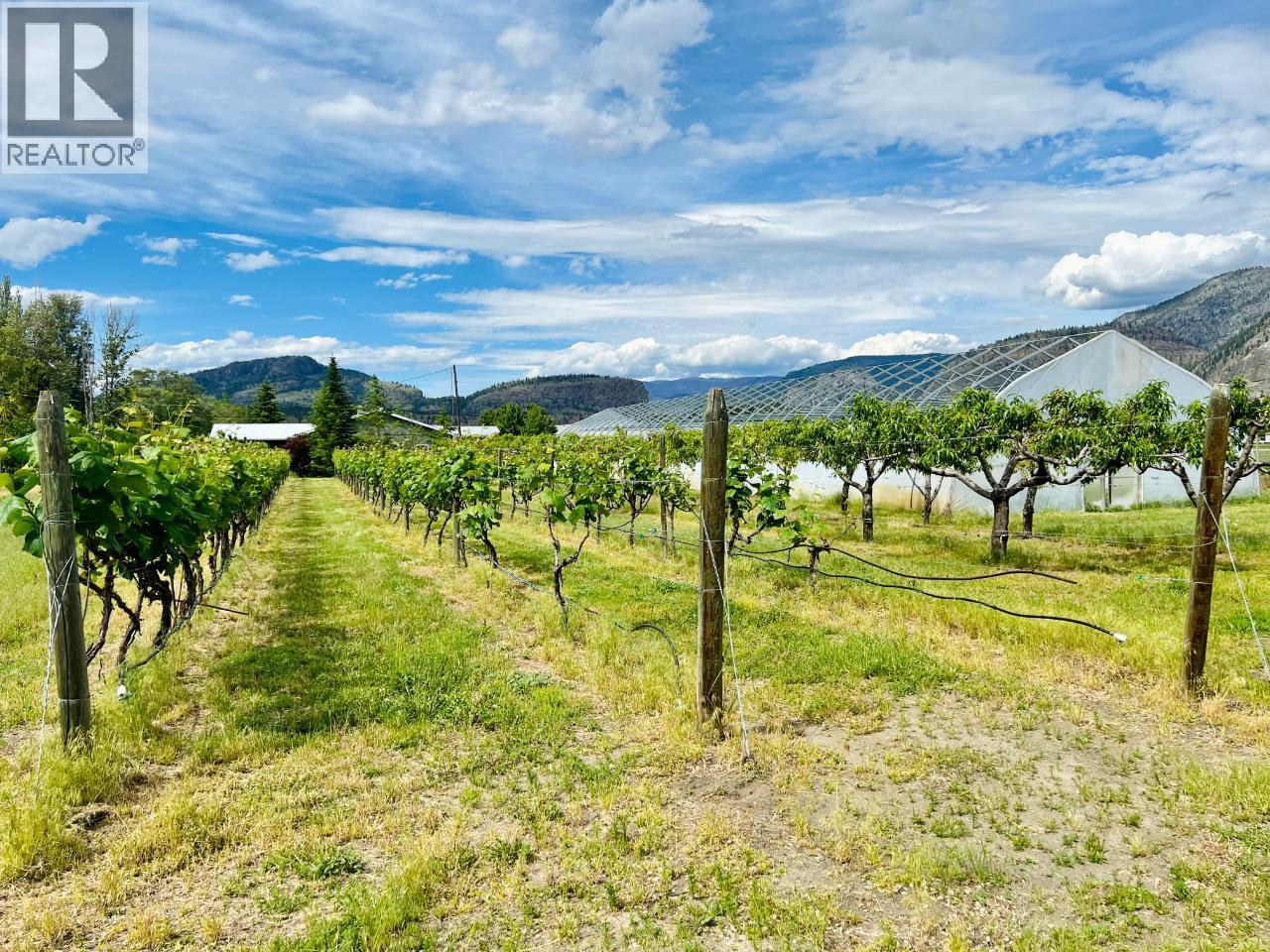 7231 Island Road, Oliver, British Columbia  V0H 1T7 - Photo 70 - 10380668