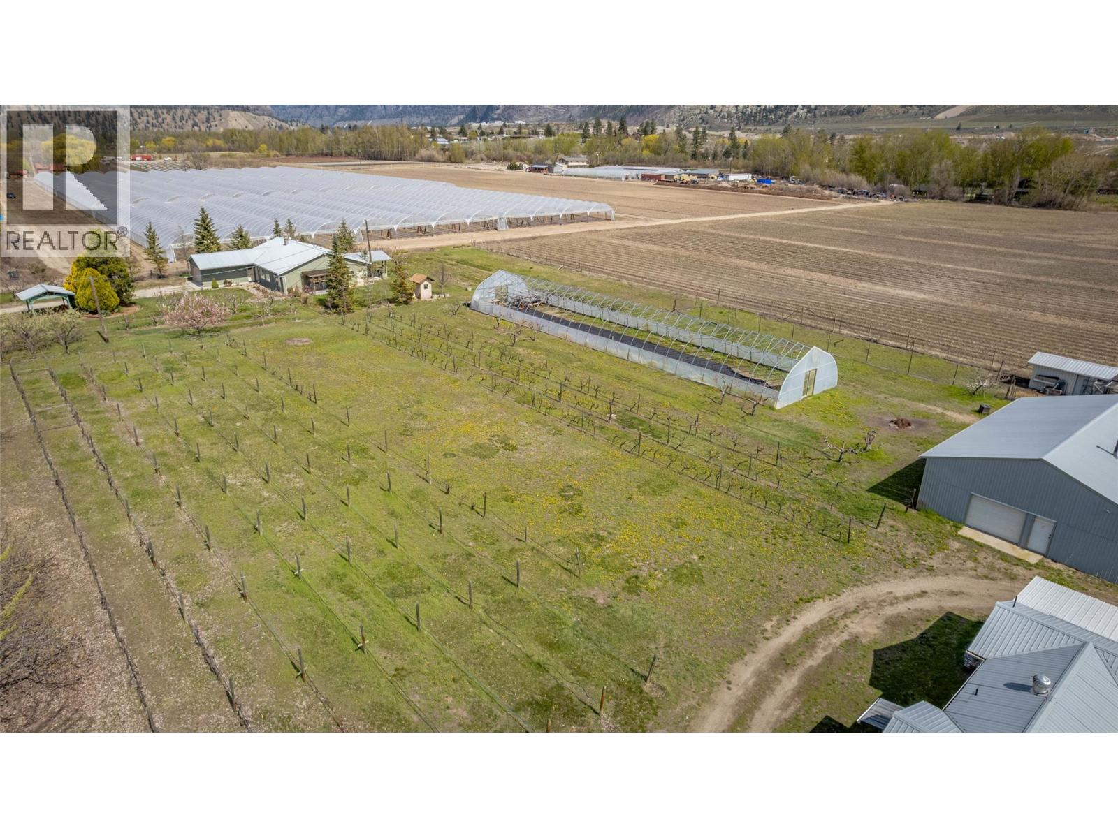 7231 Island Road, Oliver, British Columbia  V0H 1T7 - Photo 74 - 10380668