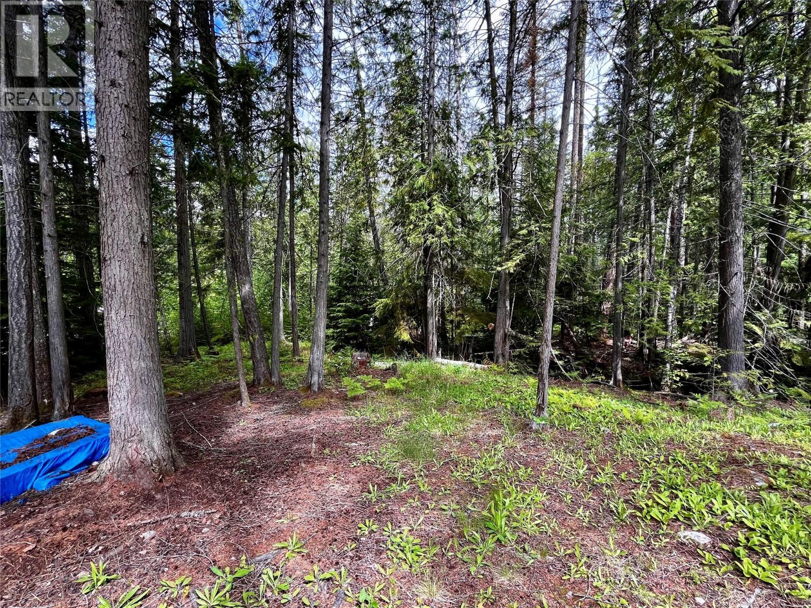 7705 Omen Road, Fauquier, British Columbia  V0G 1K0 - Photo 61 - 10380978