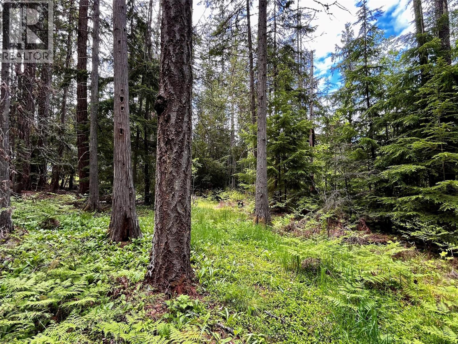 7705 Omen Road, Fauquier, British Columbia  V0G 1K0 - Photo 66 - 10380978