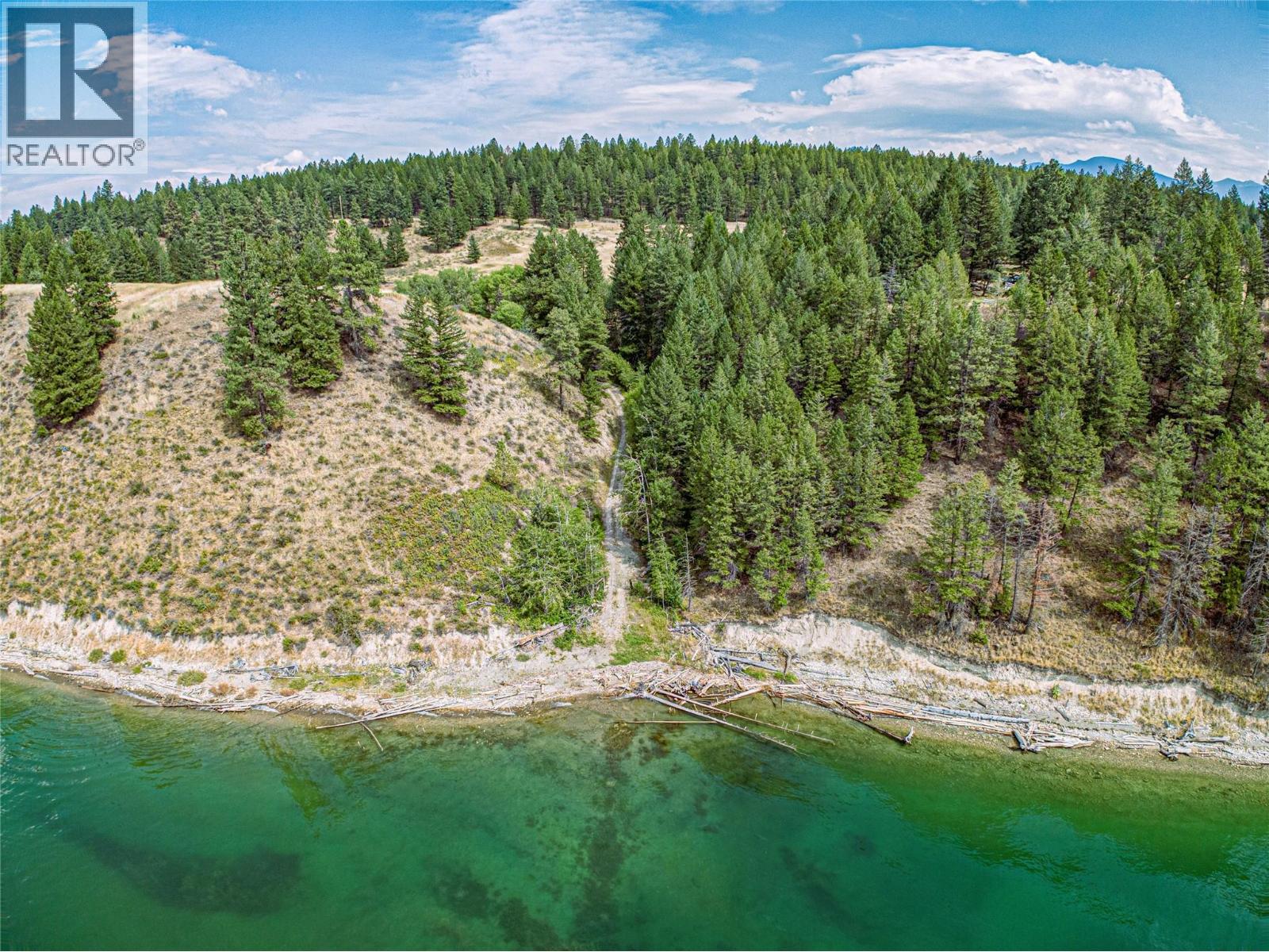 1347 Waldo Road, Baynes Lake, British Columbia  V0B 1T4 - Photo 7 - 10381384