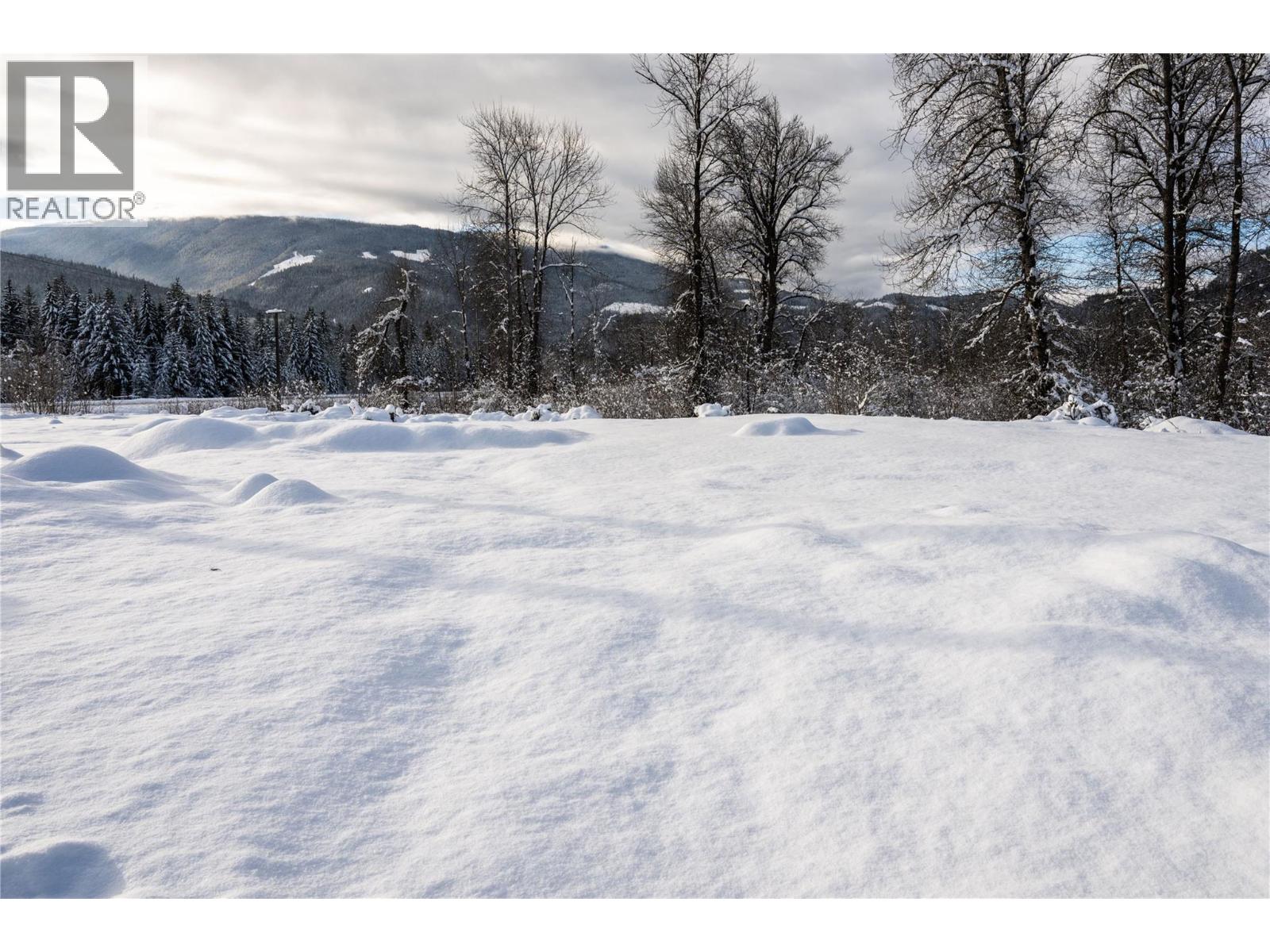 3643 Malakwa Road, Malakwa, British Columbia  V0E 2J0 - Photo 39 - 10381503