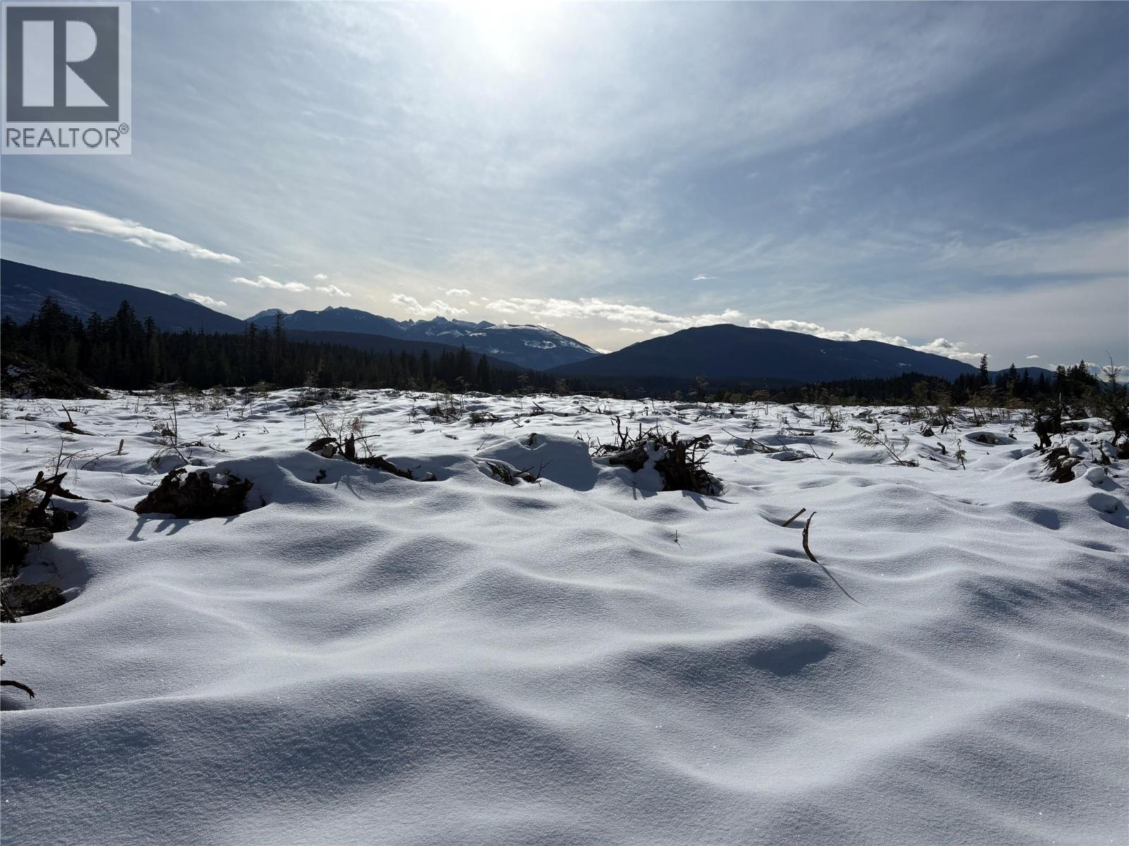 1020 Forest Service Road Seymour Arm Road, Seymour Arm, British Columbia    - Photo 1 - 10381224