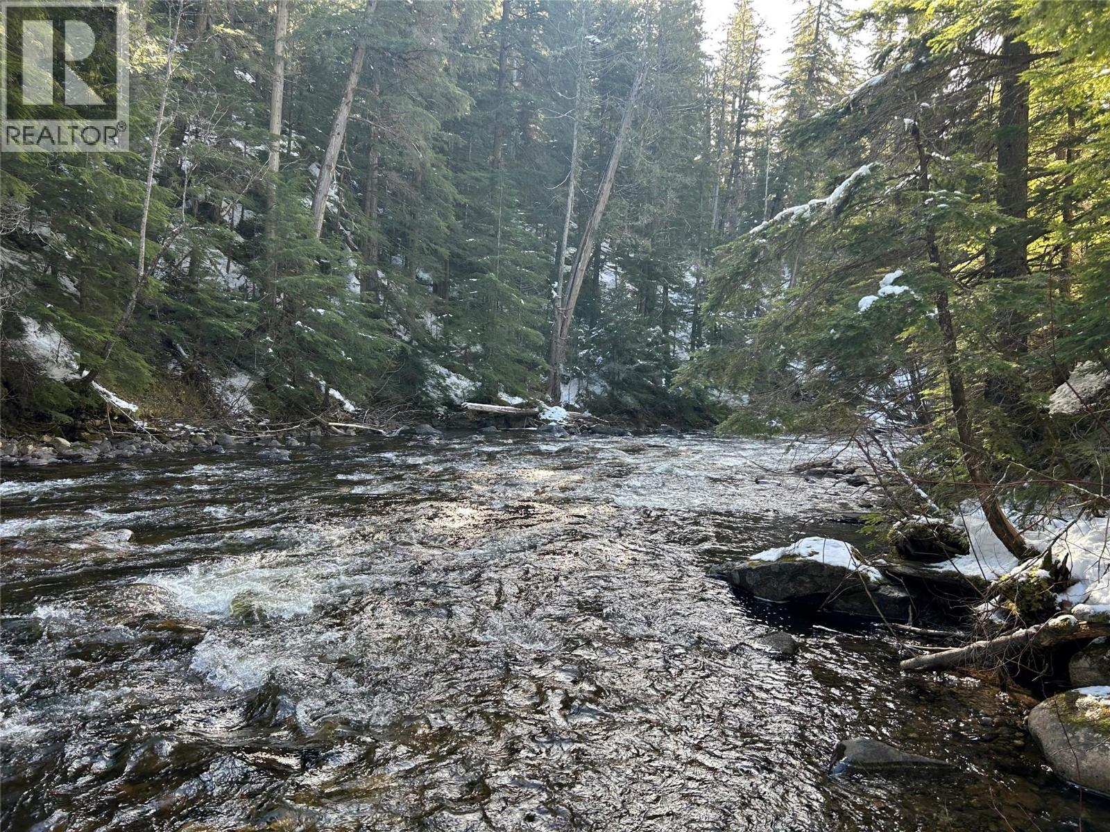 1020 Forest Service Road Seymour Arm Road, Seymour Arm, British Columbia    - Photo 2 - 10381224