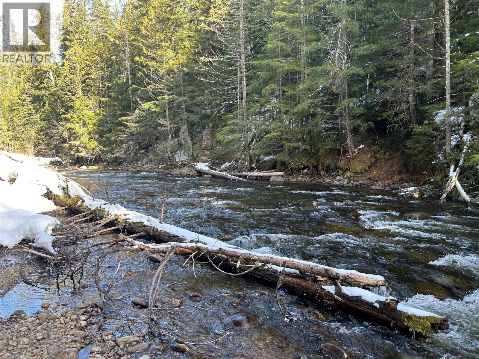 1020 Forest Service Road Seymour Arm Road, Seymour Arm, British Columbia    - Photo 4 - 10381224