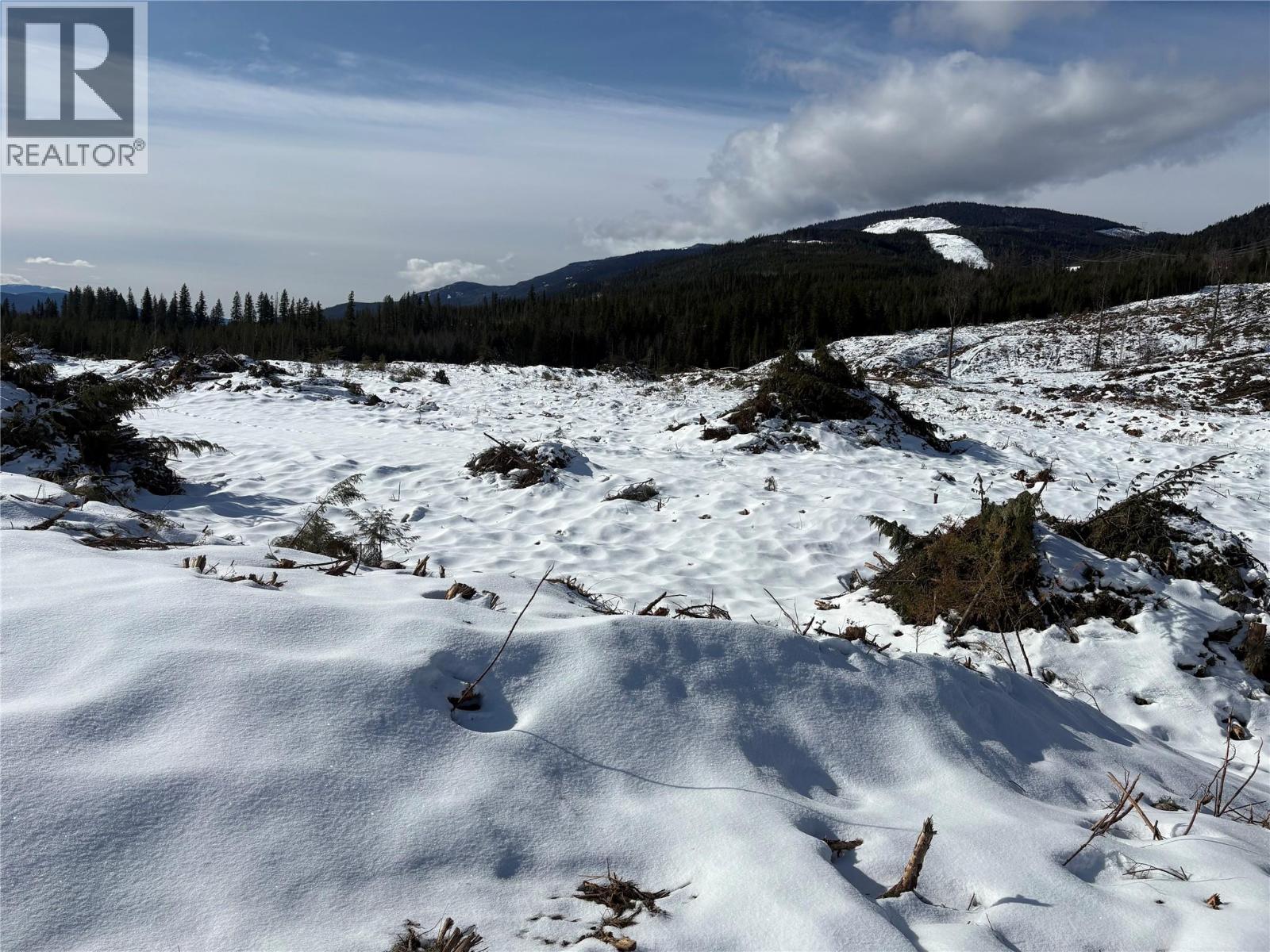 1020 Forest Service Road Seymour Arm Road, Seymour Arm, British Columbia    - Photo 5 - 10381224