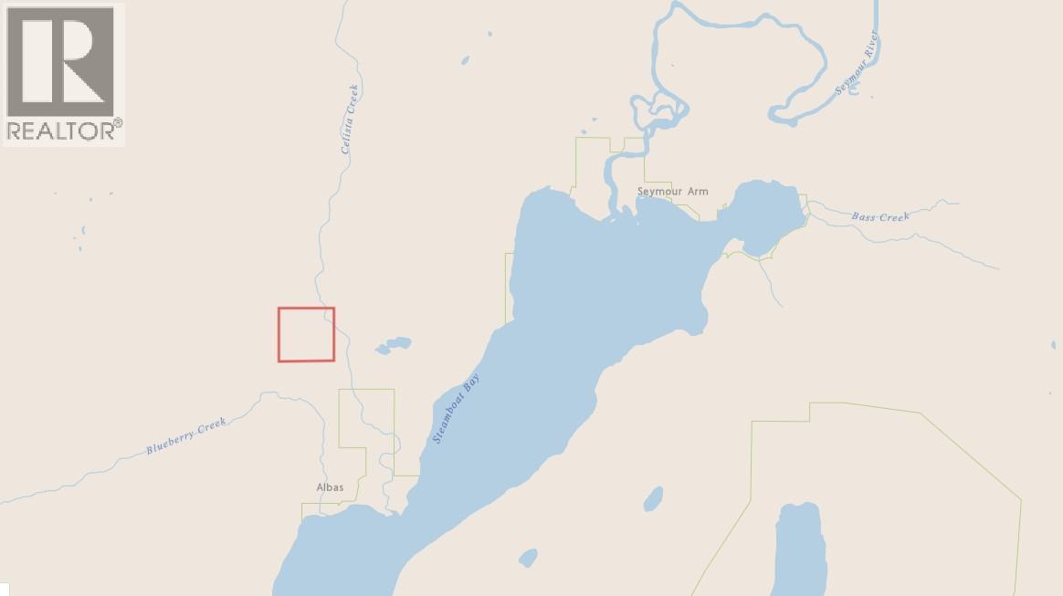 1020 Forest Service Road Seymour Arm Road, Seymour Arm, British Columbia    - Photo 6 - 10381224