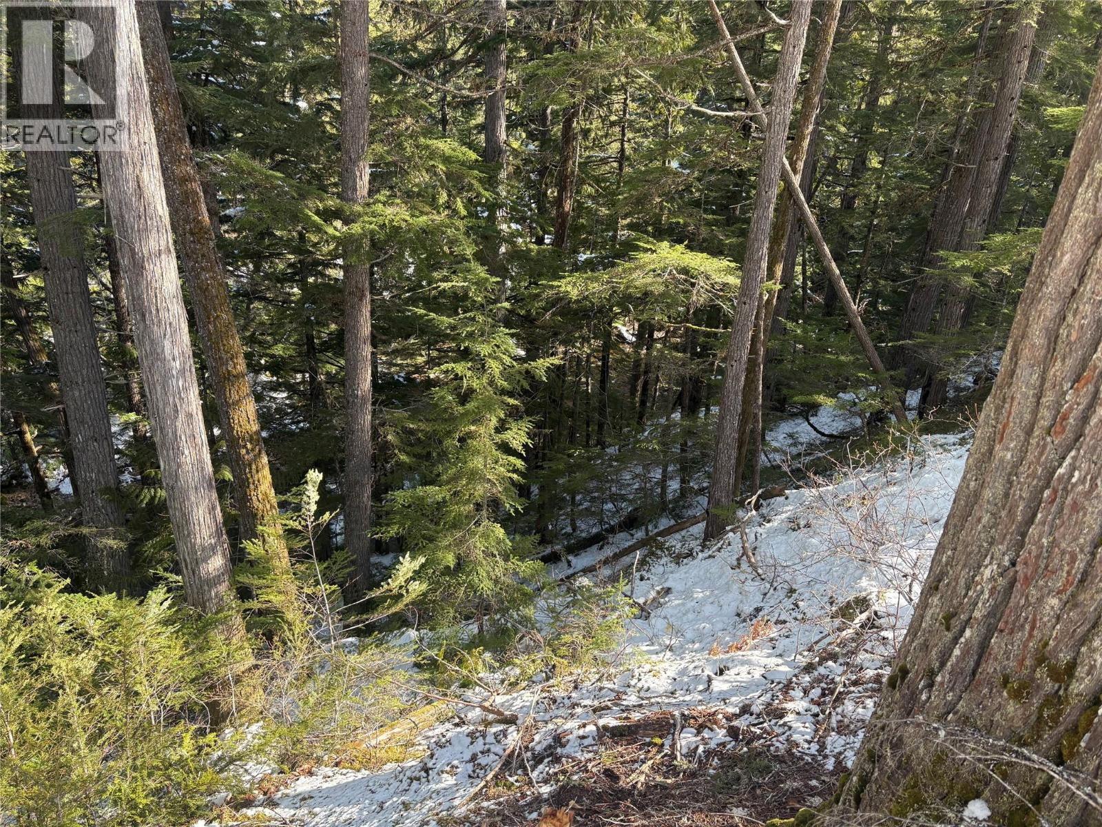 1020 Forest Service Road Seymour Arm Road, Seymour Arm, British Columbia    - Photo 9 - 10381224