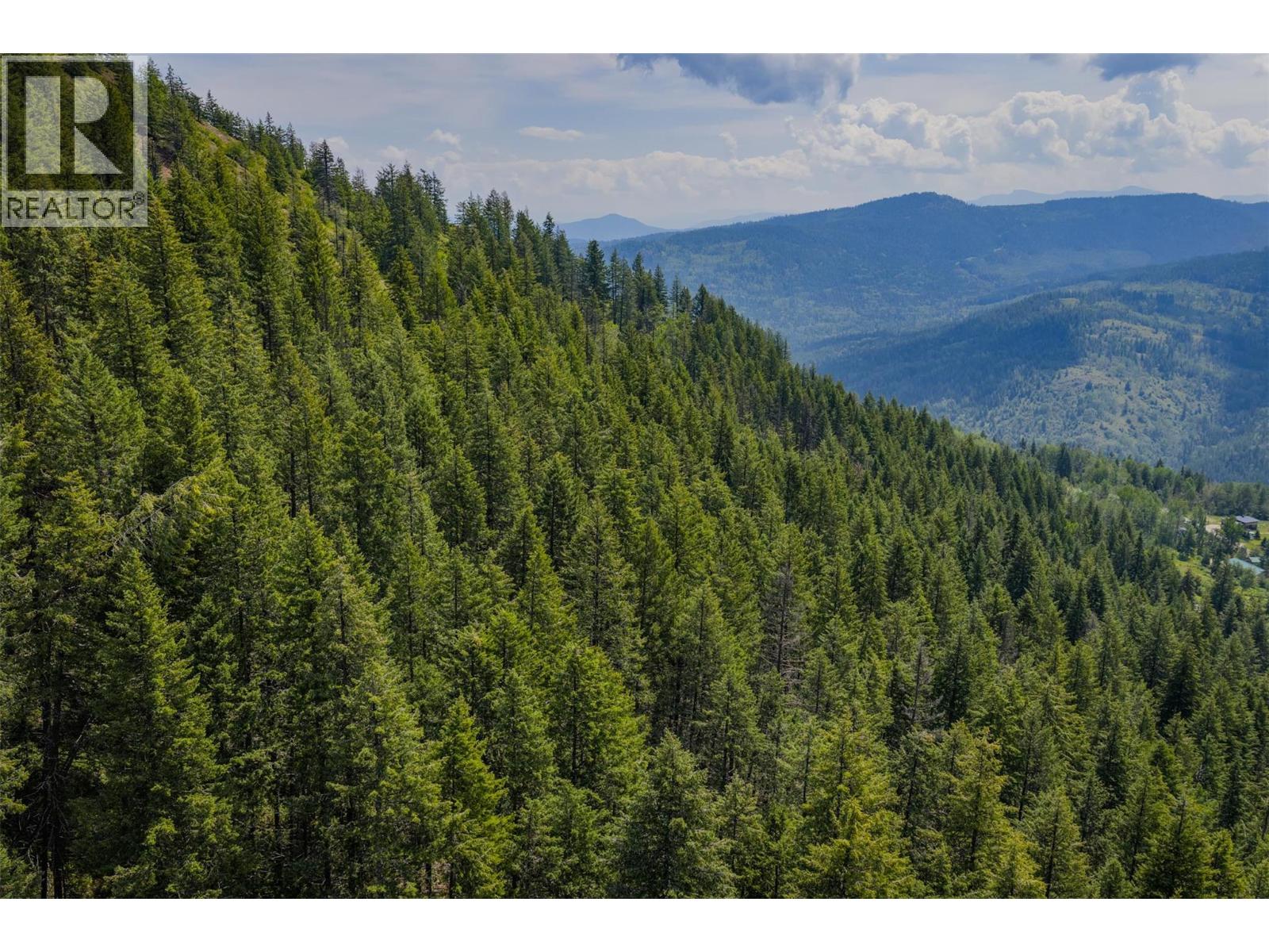 Parcel A Columbia-Kootenay Road, Rossland, British Columbia  V0G 1Y0 - Photo 13 - 10381409