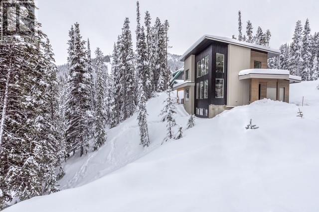 1405 Apex Mountain Road, Apex Mountain, British Columbia  V2A 8L8 - Photo 29 - 10381442