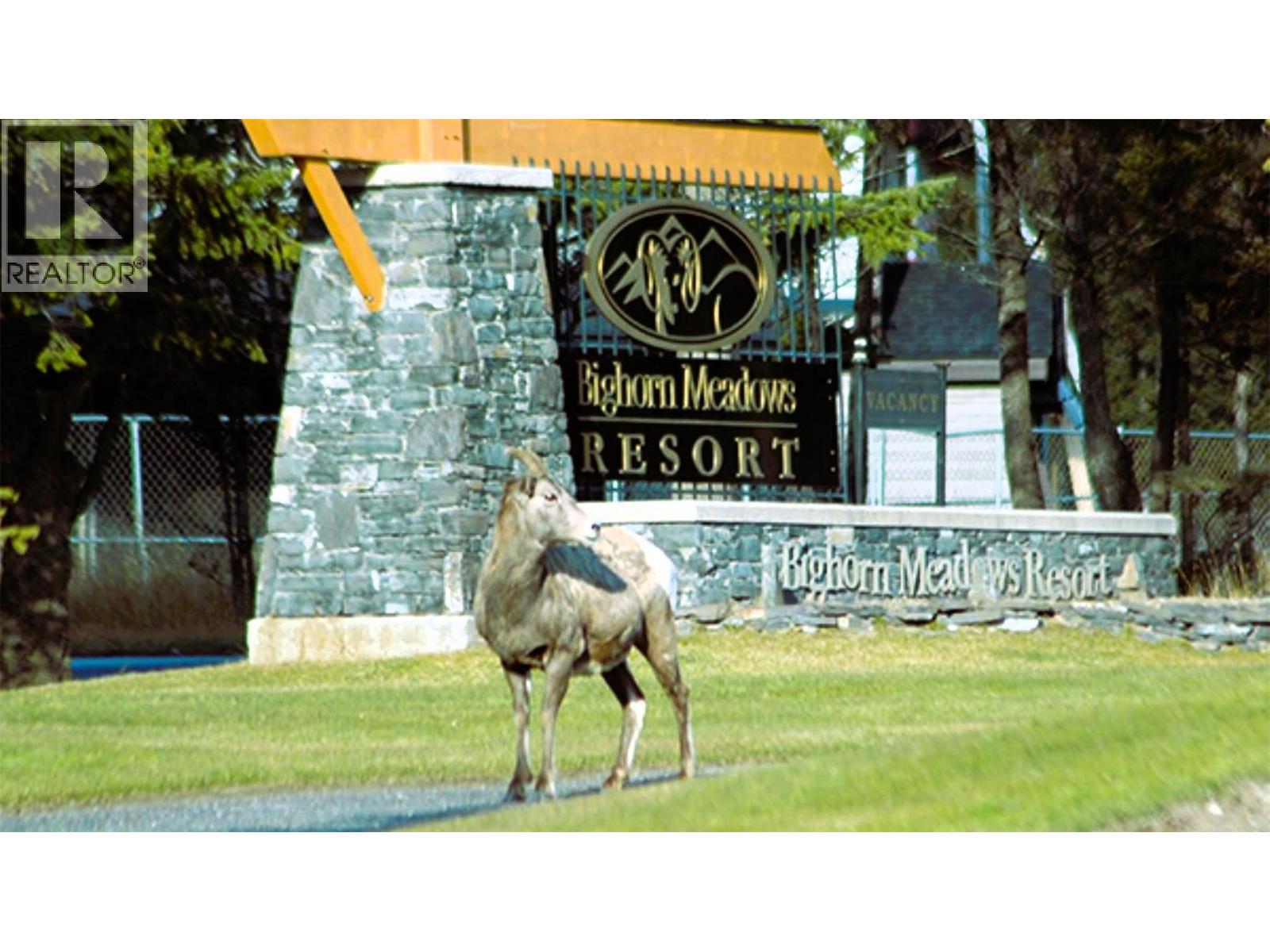 500 Bighorn Boulevard Unit# 513, Radium Hot Springs, British Columbia  V0A 1M0 - Photo 75 - 10380962