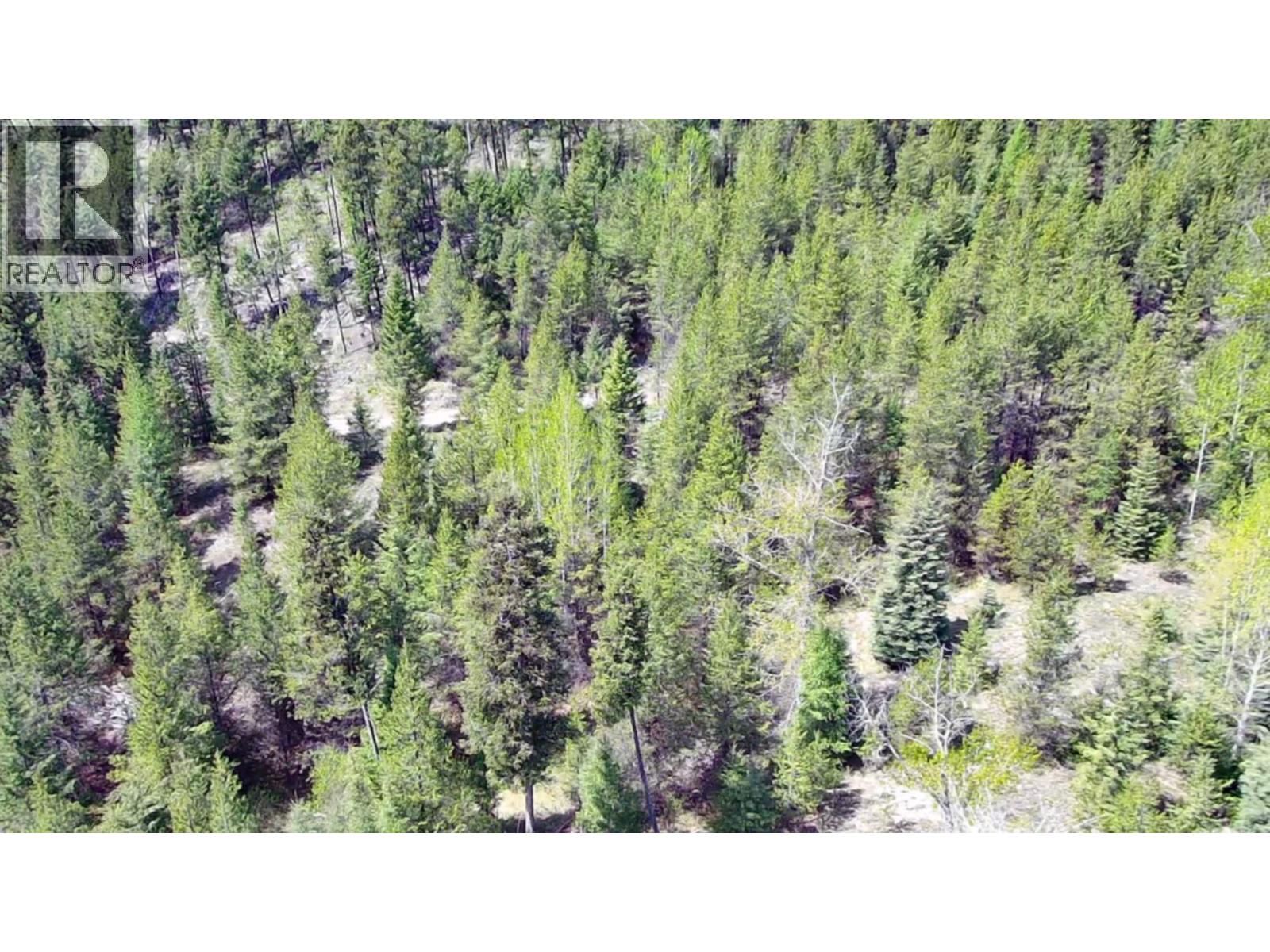 2610 Bubar Creek Road, Rock Creek, British Columbia  V0H 1Y0 - Photo 10 - 10380757