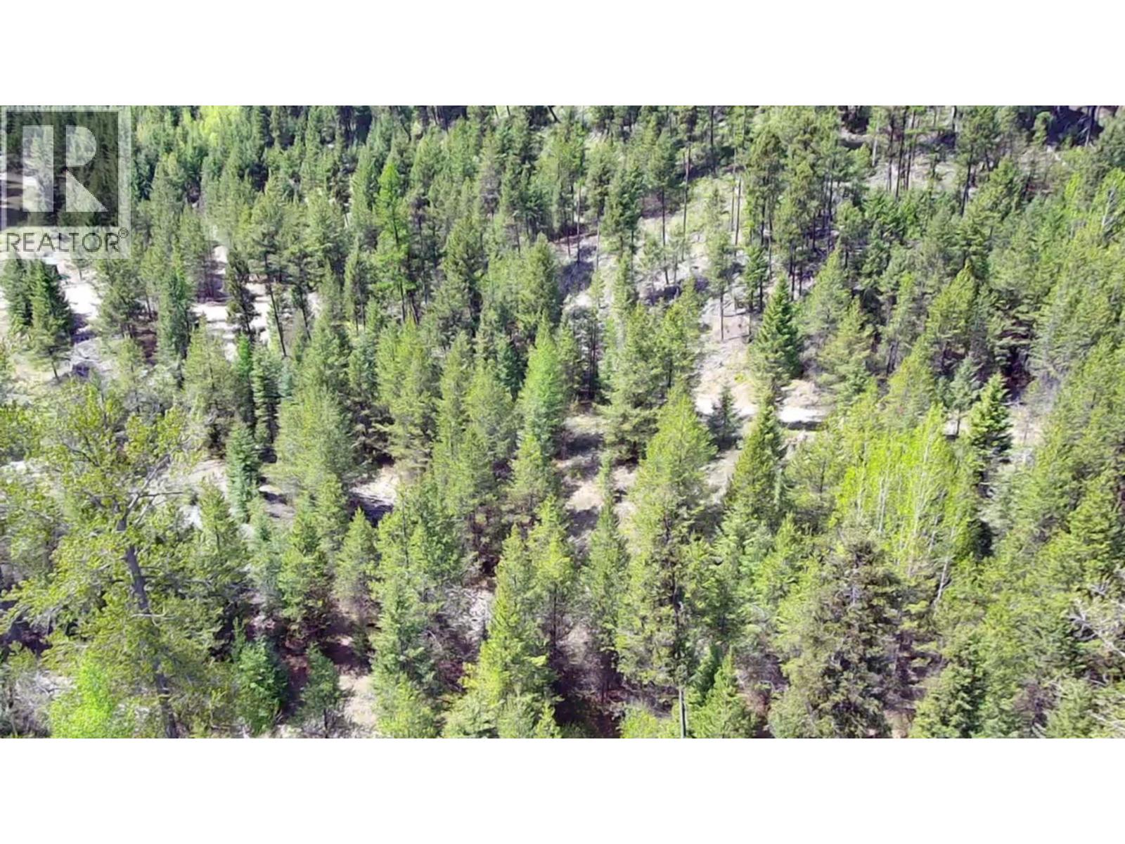 2610 Bubar Creek Road, Rock Creek, British Columbia  V0H 1Y0 - Photo 12 - 10380757