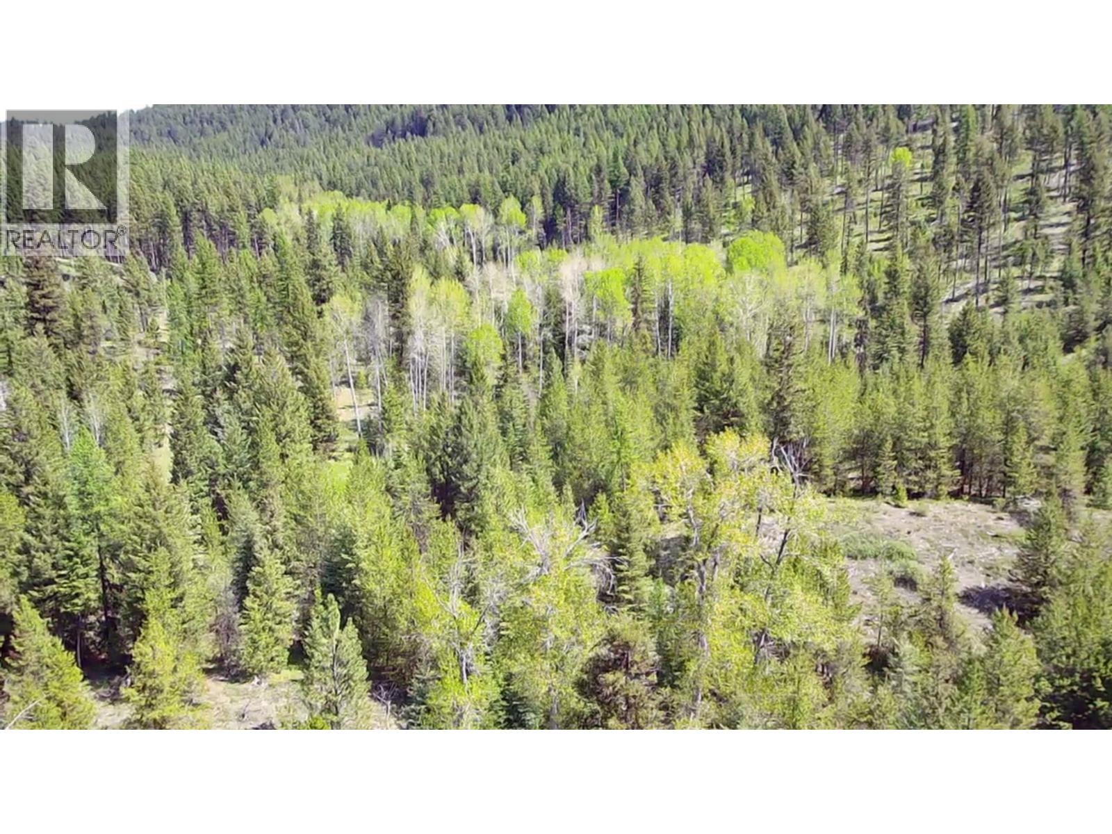 2610 Bubar Creek Road, Rock Creek, British Columbia  V0H 1Y0 - Photo 3 - 10380757