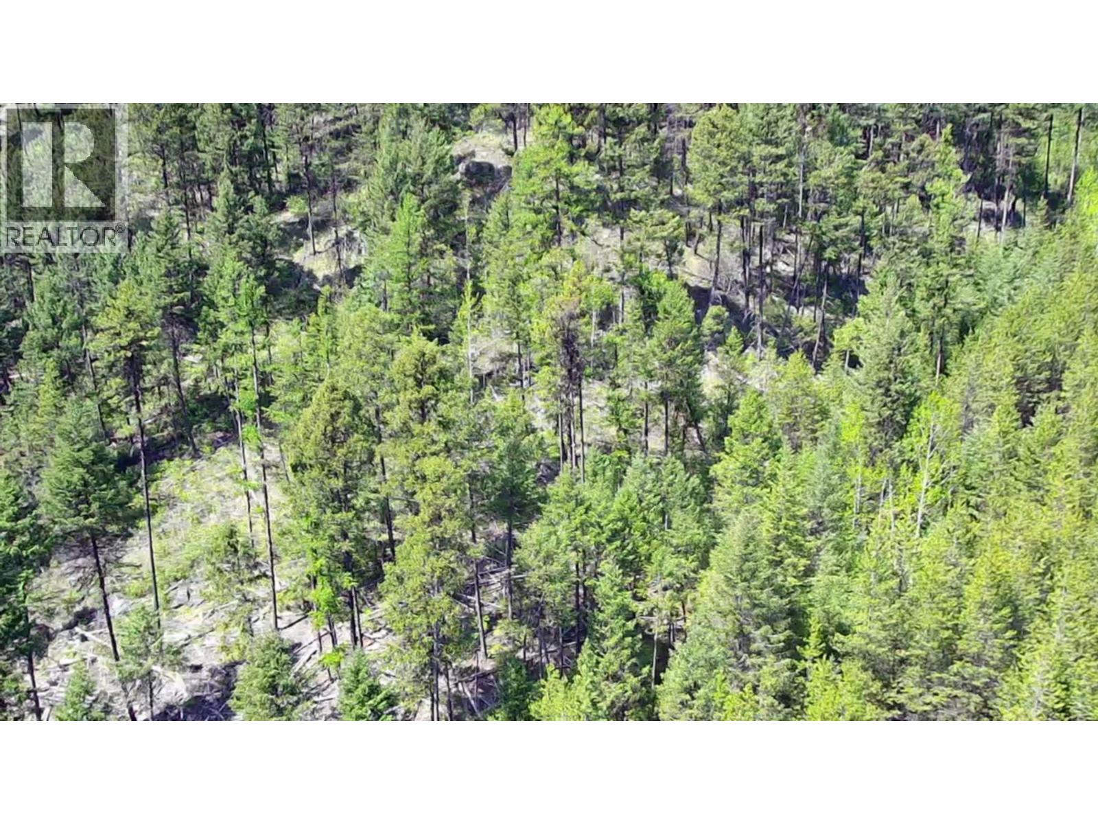 2610 Bubar Creek Road, Rock Creek, British Columbia  V0H 1Y0 - Photo 4 - 10380757