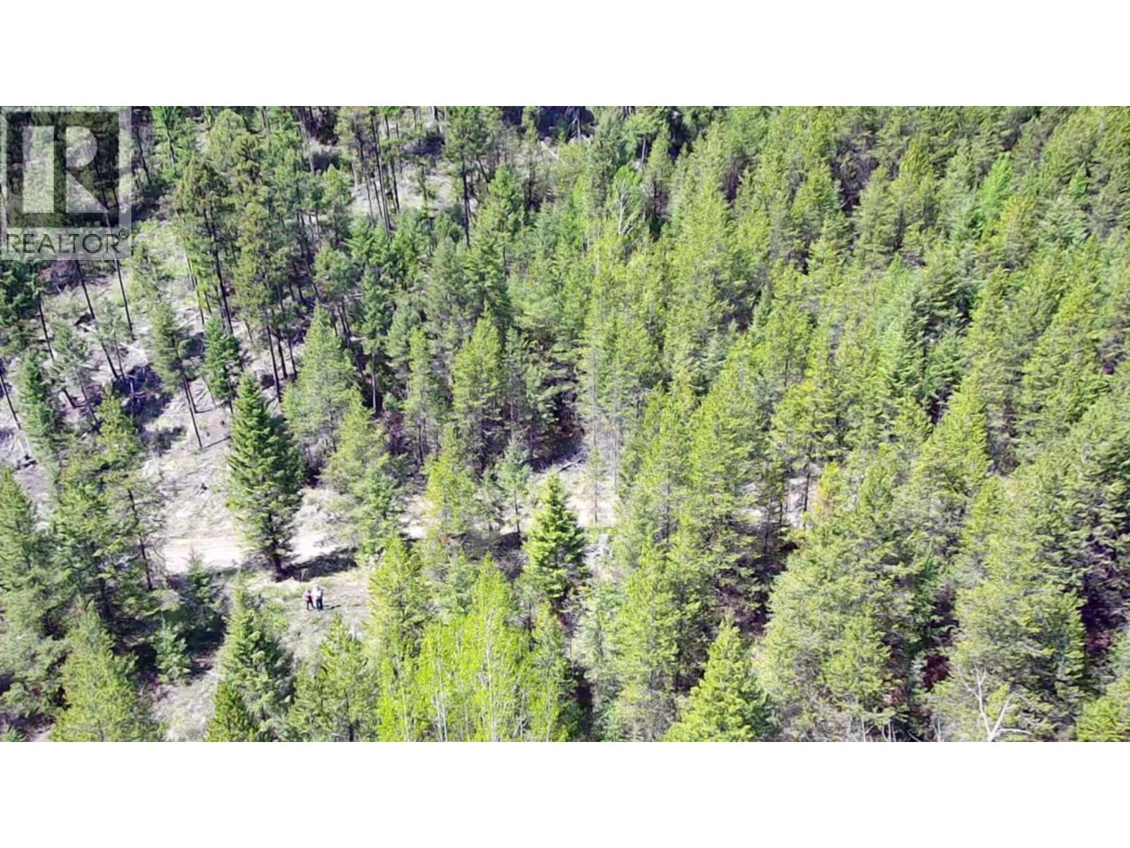 2610 Bubar Creek Road, Rock Creek, British Columbia  V0H 1Y0 - Photo 5 - 10380757