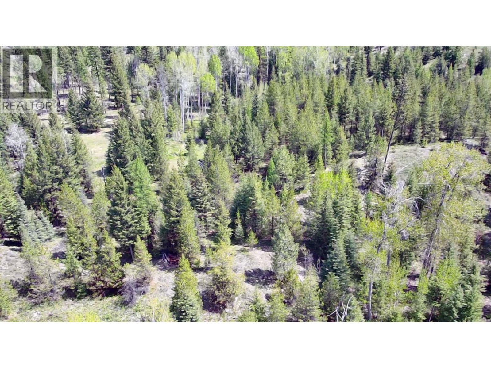 2610 Bubar Creek Road, Rock Creek, British Columbia  V0H 1Y0 - Photo 7 - 10380757