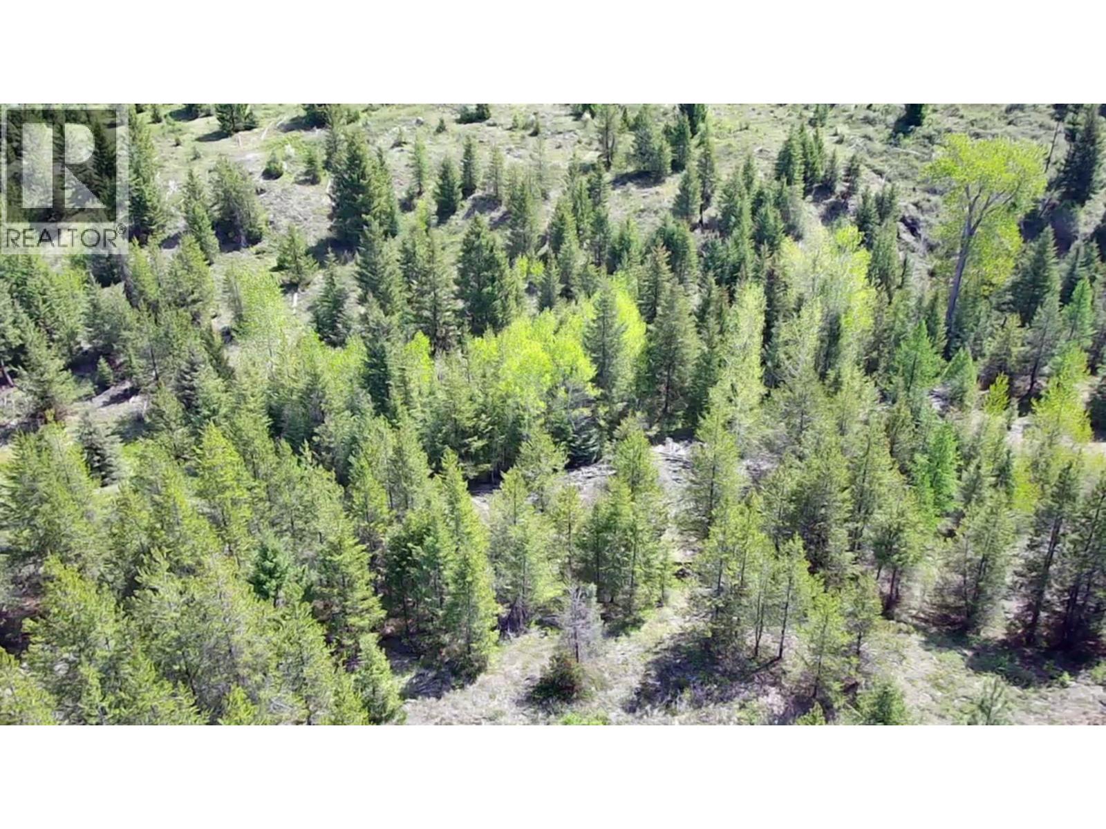 2610 Bubar Creek Road, Rock Creek, British Columbia  V0H 1Y0 - Photo 9 - 10380757