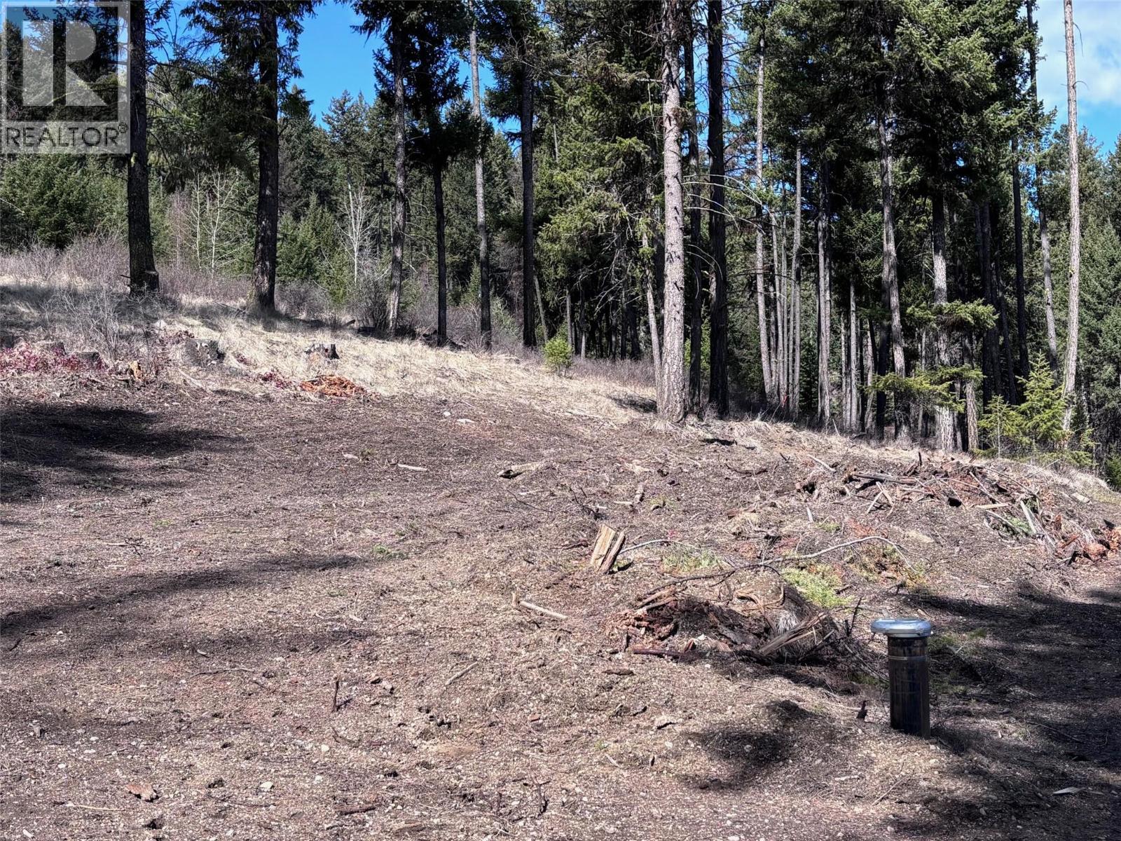 Lot 5 Hulme Creek Road, Rock Creek, British Columbia  V0H 1Y0 - Photo 2 - 10381652