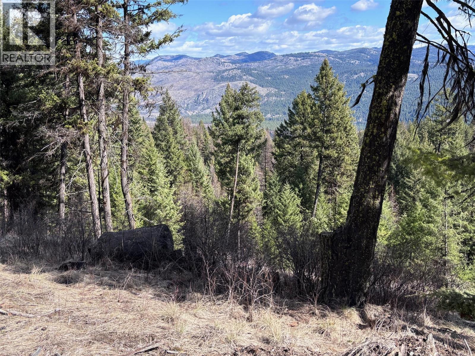 Lot 5 Hulme Creek Road, Rock Creek, British Columbia  V0H 1Y0 - Photo 3 - 10381652